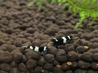 201150712.jpg