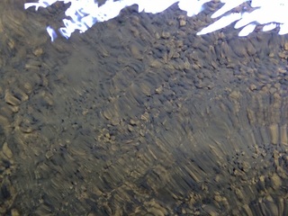 20150330.jpg