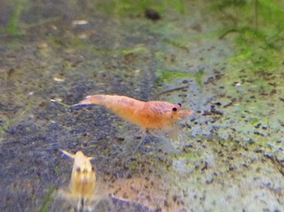 20150414.jpg