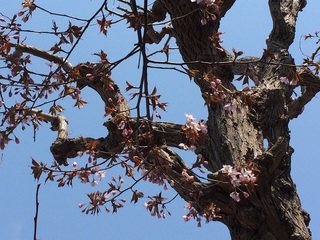 20150422.jpg