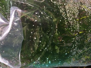 20150524.jpg