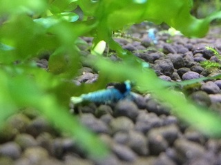 20150713.jpg