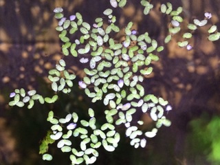 20150823.jpg