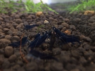 20150918.jpg