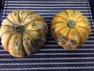 20151024.jpg