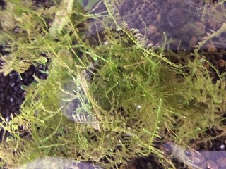20151218.jpg