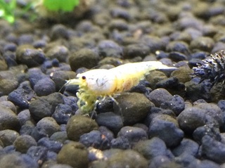 20160321.jpg