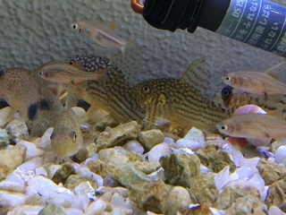 20160322.jpg