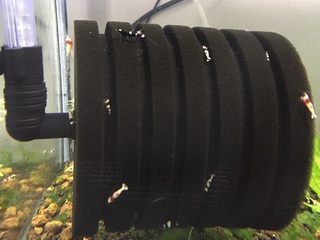 20160423.jpg