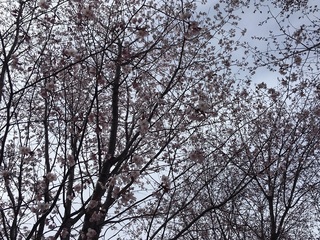 20160429.jpg