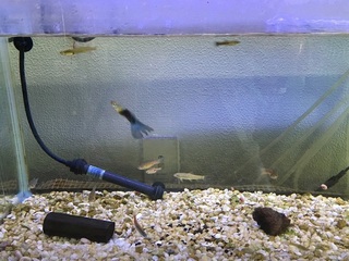 20160511.jpg