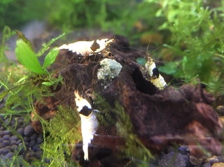 20160513.jpg