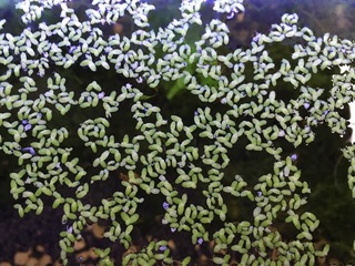 20160524.jpg