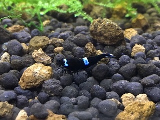 20160531.jpg