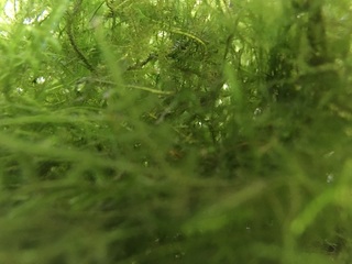 20160611.jpg