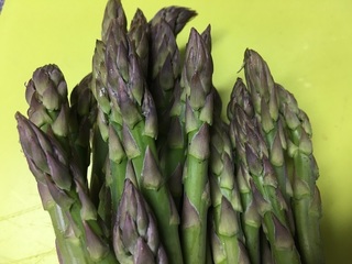 20160617a.jpg