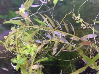 20160712.jpg
