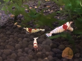 20160715.jpg