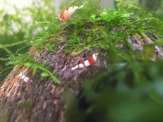 20160718.jpg