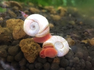 20160722.jpg