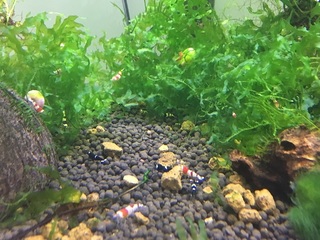 20160730.jpg
