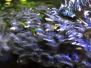 20160819.jpg