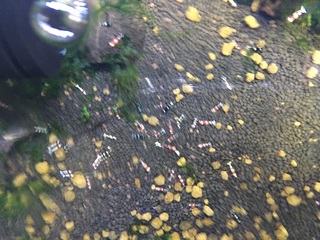 20160820.jpg