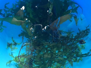 20160821.jpg