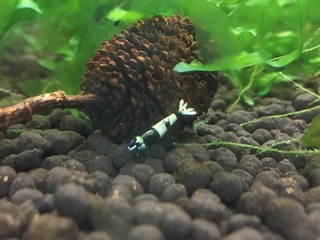 20160829.jpg